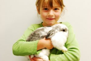 rabbit-needing-dental-treatment